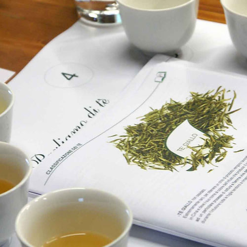 Gocce di Tè – EP. 24 – Cocco: Formazione