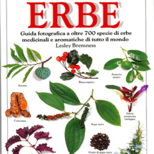 Erbe